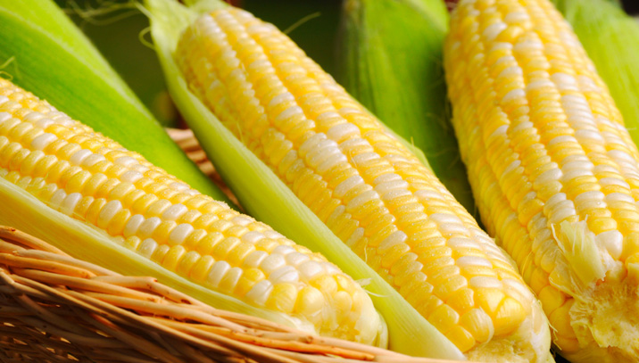 Corn-on-the-Cob