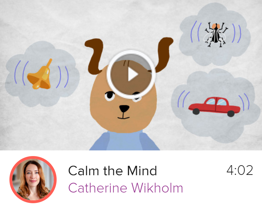 Grokker: Calm the mind